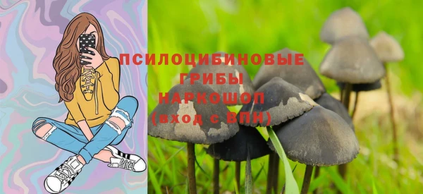винт Абинск